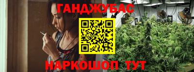 ешки Сланцы