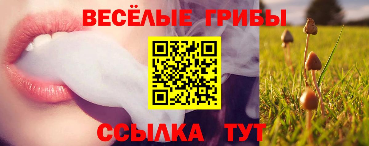 Псилоцибиновые грибы прущие грибы  Вход с VPN  Рассказово  Галлюциногенные грибы прущие грибы 