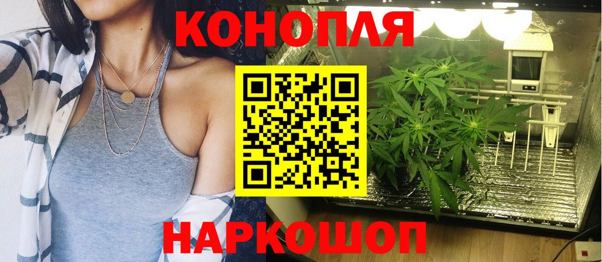 МЕФ Рассказово